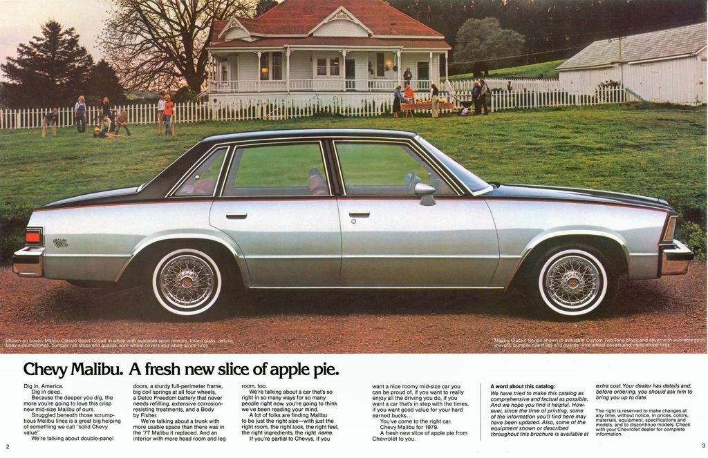 n_1979 Chevrolet Malibu-02-03.jpg